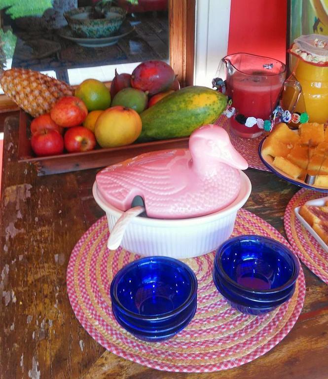 Parador Villa Mimosa Petrópolis Eksteriør bilde